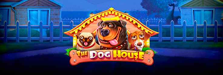 The Dog House